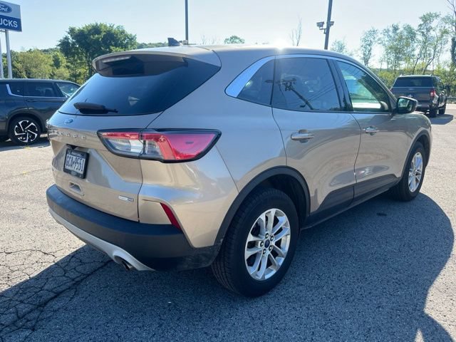 Used 2020 Ford Escape SE AWD/4WD image 6