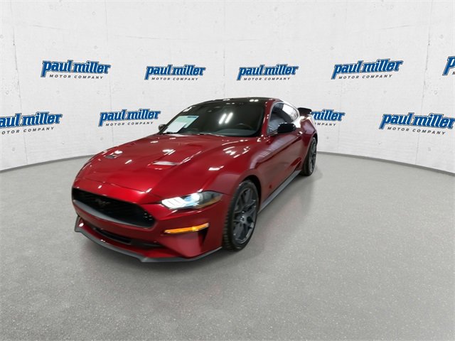 Used 2023 Ford Mustang Coupe w/ Equipment Group 101A image 4