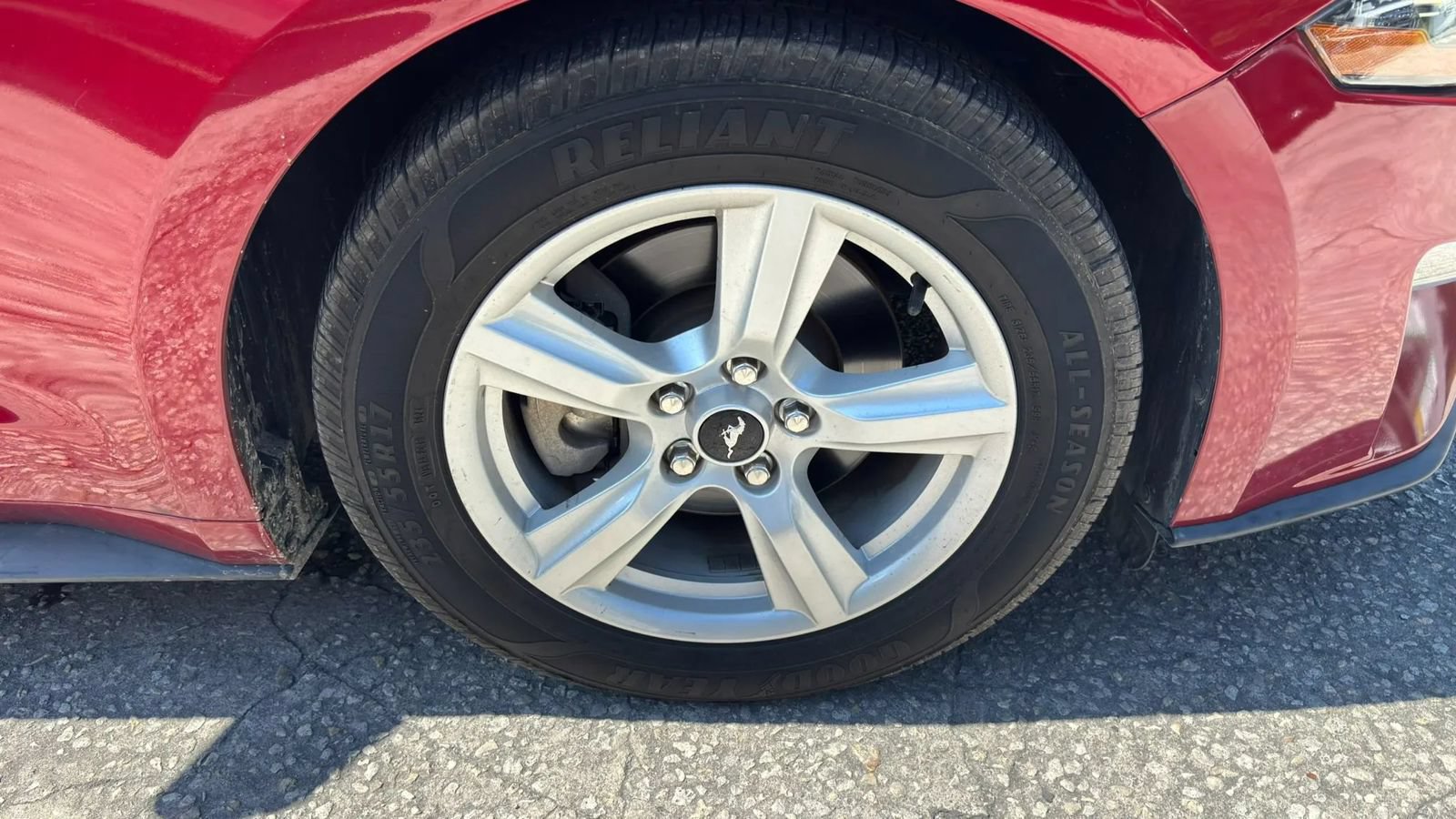 Used 2019 Ford Mustang Coupe RWD image 22