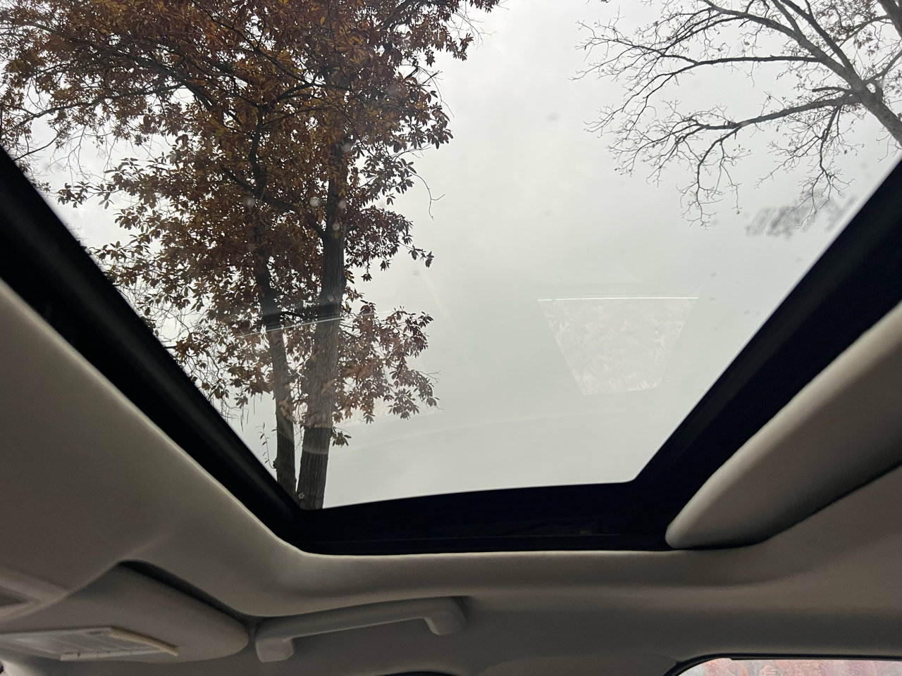 Used 2016 Ford Focus Titanium w/ Titanium Technology Package image 28