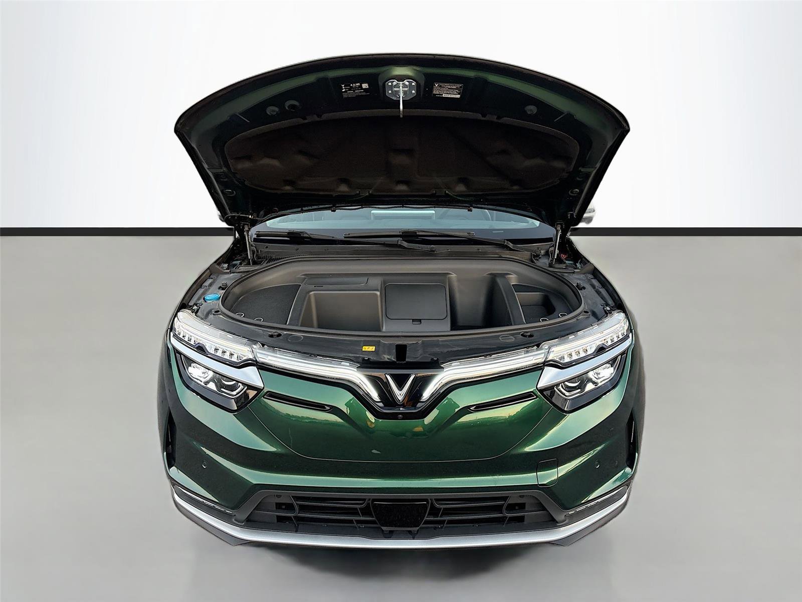 New 2025 VinFast VF 8 Eco image 33