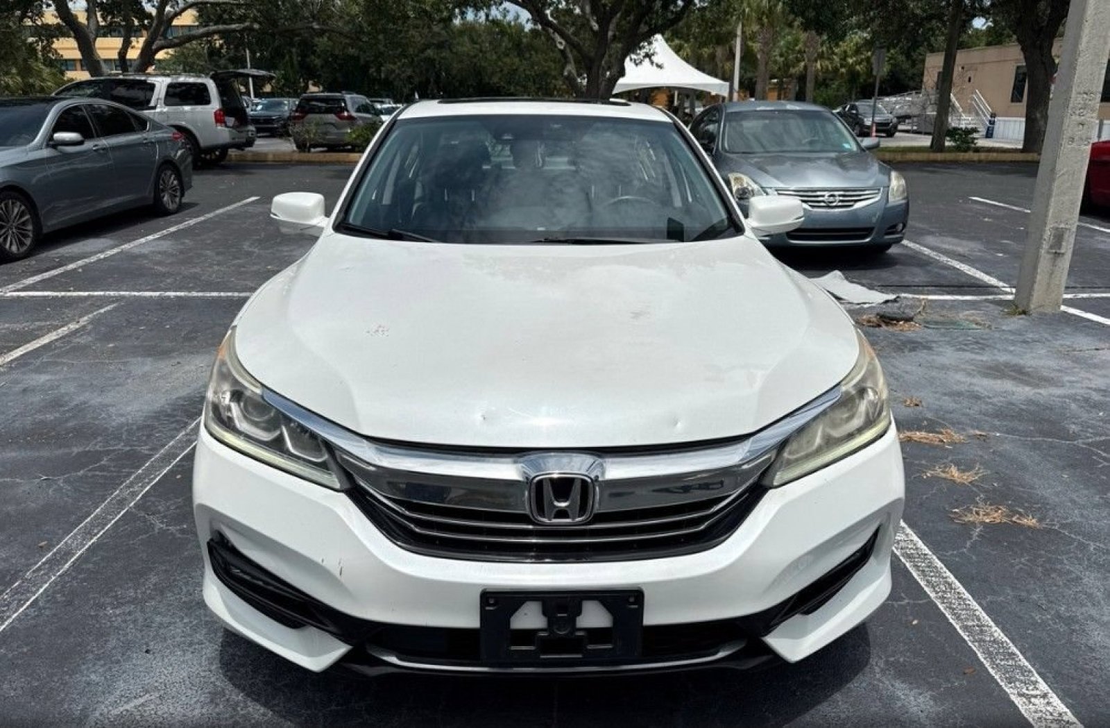 Used 2017 Honda Accord EX-L image 2