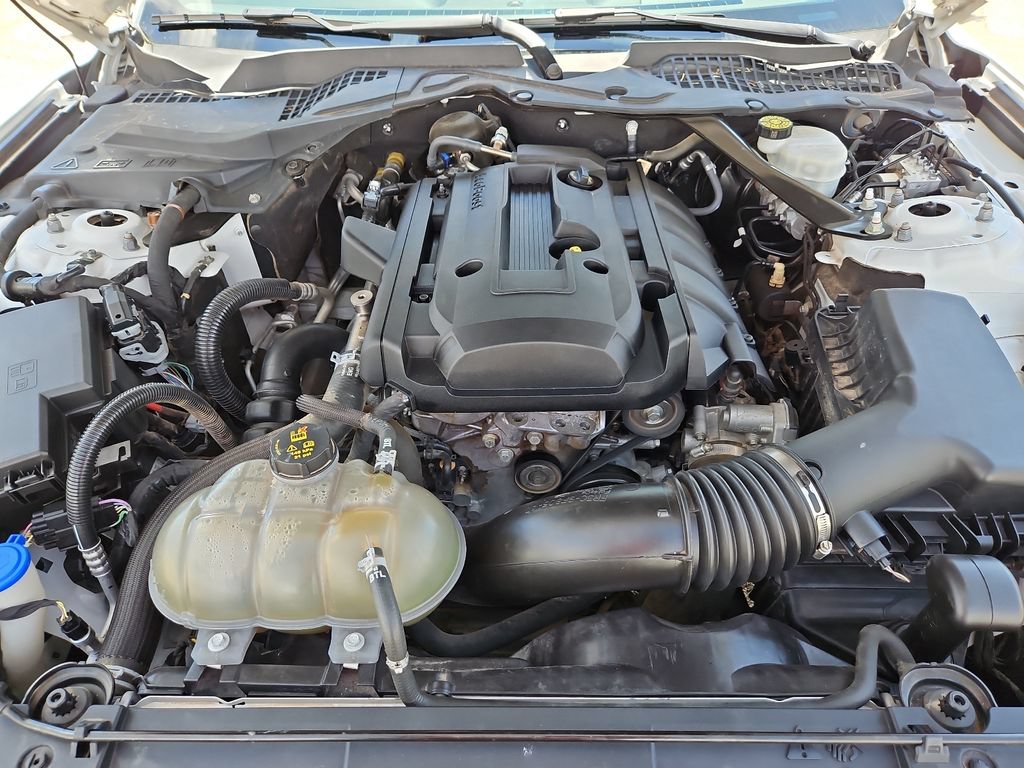 Used 2020 Ford Mustang Premium RWD image 13