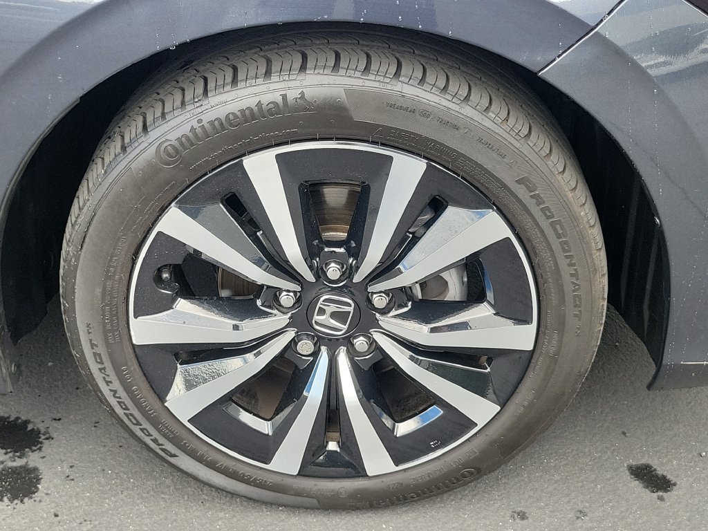 Certified 2024 Honda Civic EX-L image 6