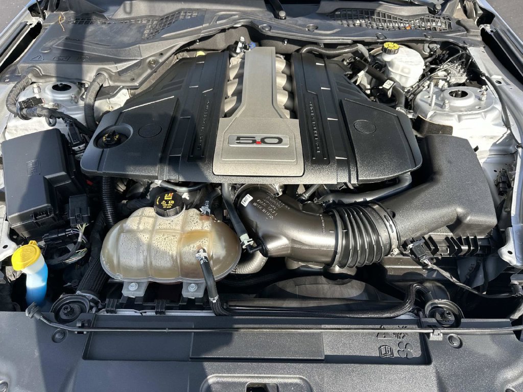Used 2019 Ford Mustang GT Premium w/ Equipment Group 401A RWD image 11