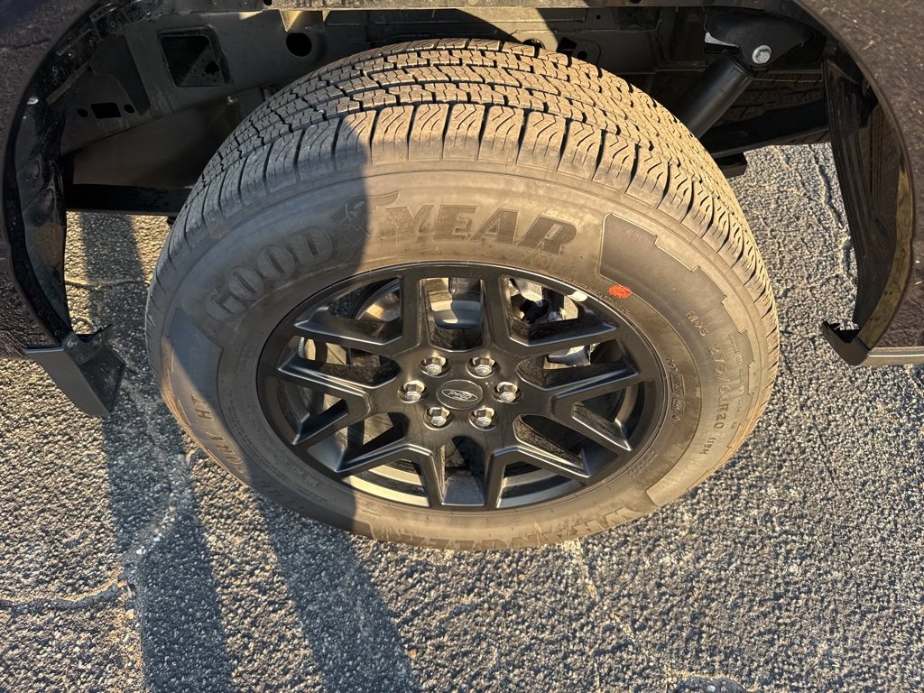 Used 2024 Ford F150 STX w/ STX Black Appearance Package image 22