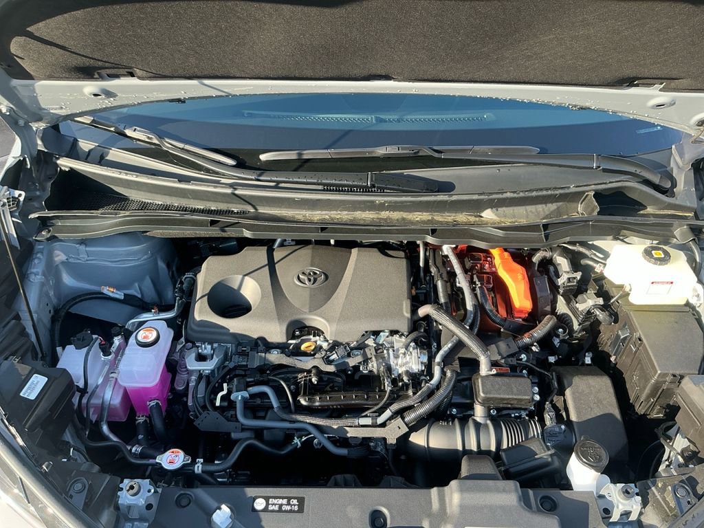 New 2026 Toyota Sienna XLE Woodland Edition image 18