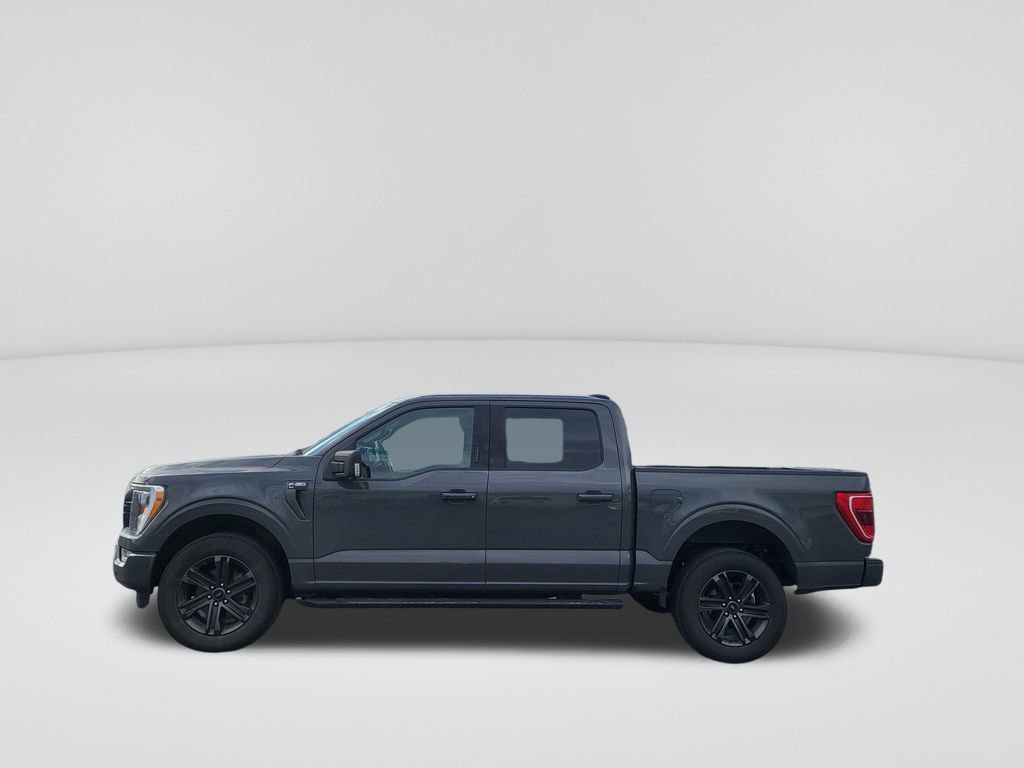 Used 2021 Ford F150 XLT w/ Equipment Group 302A High image 2