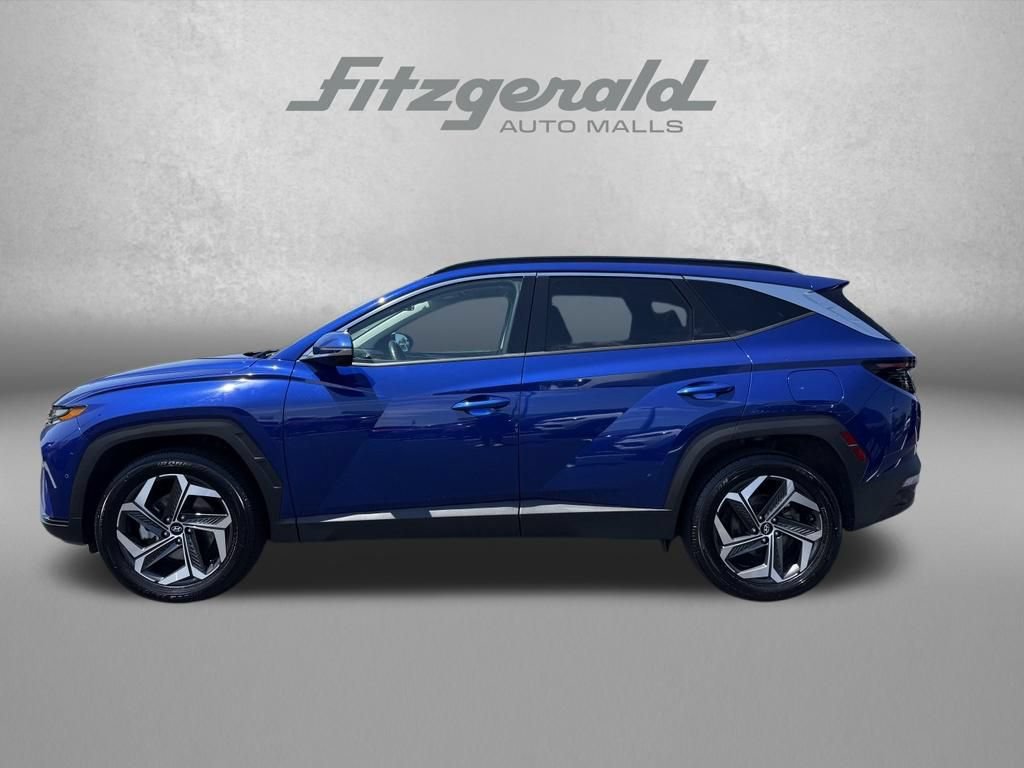 Used 2024 Hyundai Tucson Limited AWD/4WD image 11