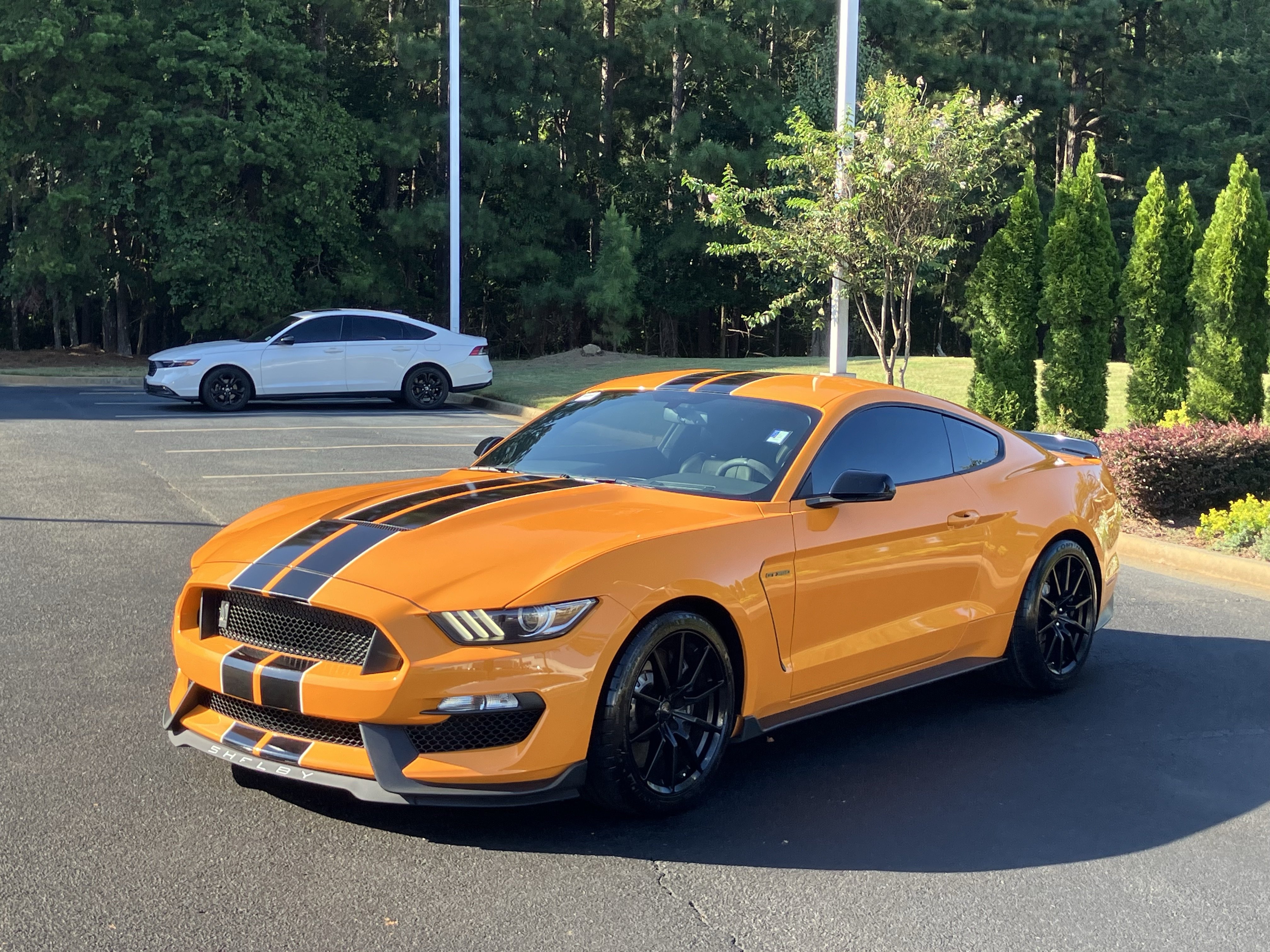 Used 2018 Ford Mustang Shelby GT350 w/ Convenience Package RWD image 6