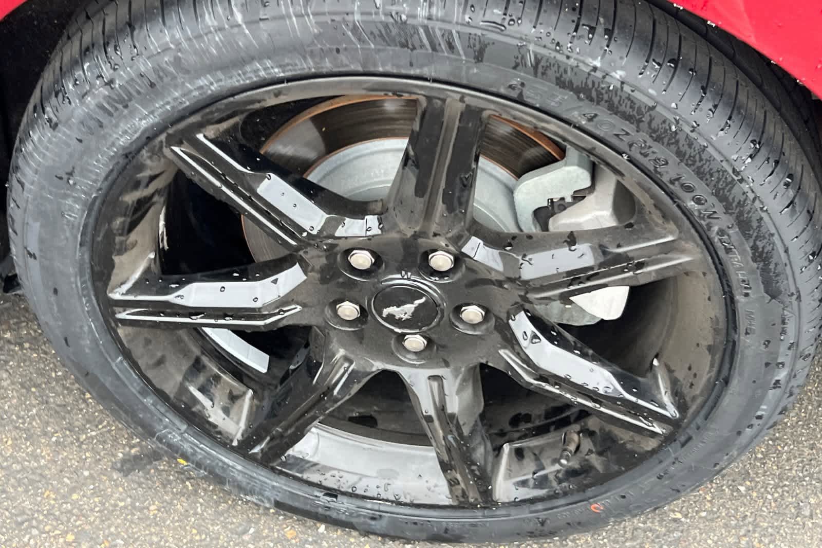 Used 2019 Ford Mustang Premium w/ Equipment Group 201A RWD image 22