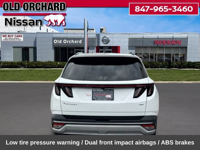 Used 2025 Hyundai Tucson Limited AWD/4WD image 7