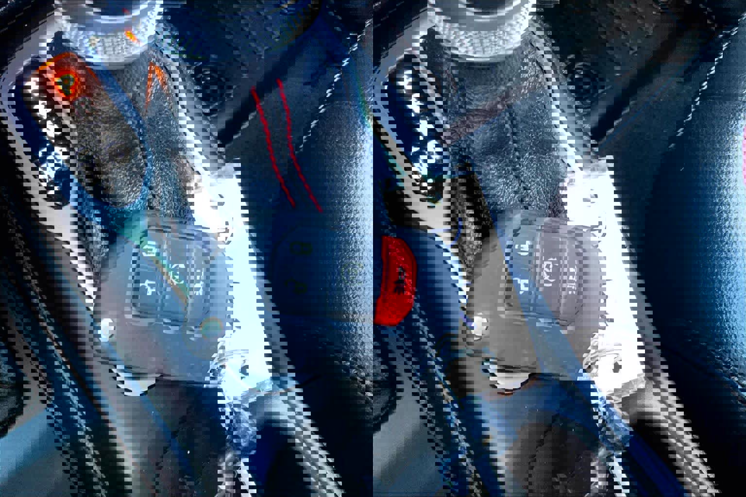 Used 2020 Jeep Gladiator Rubicon image 12