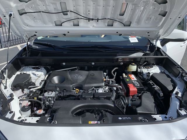 Used 2019 Toyota RAV4 XLE w/ Convenience Package image 16