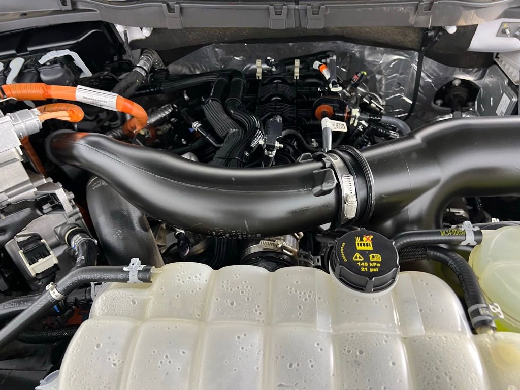 Used 2025 Ford F150 XLT w/ Equipment Group 301A Standard image 30