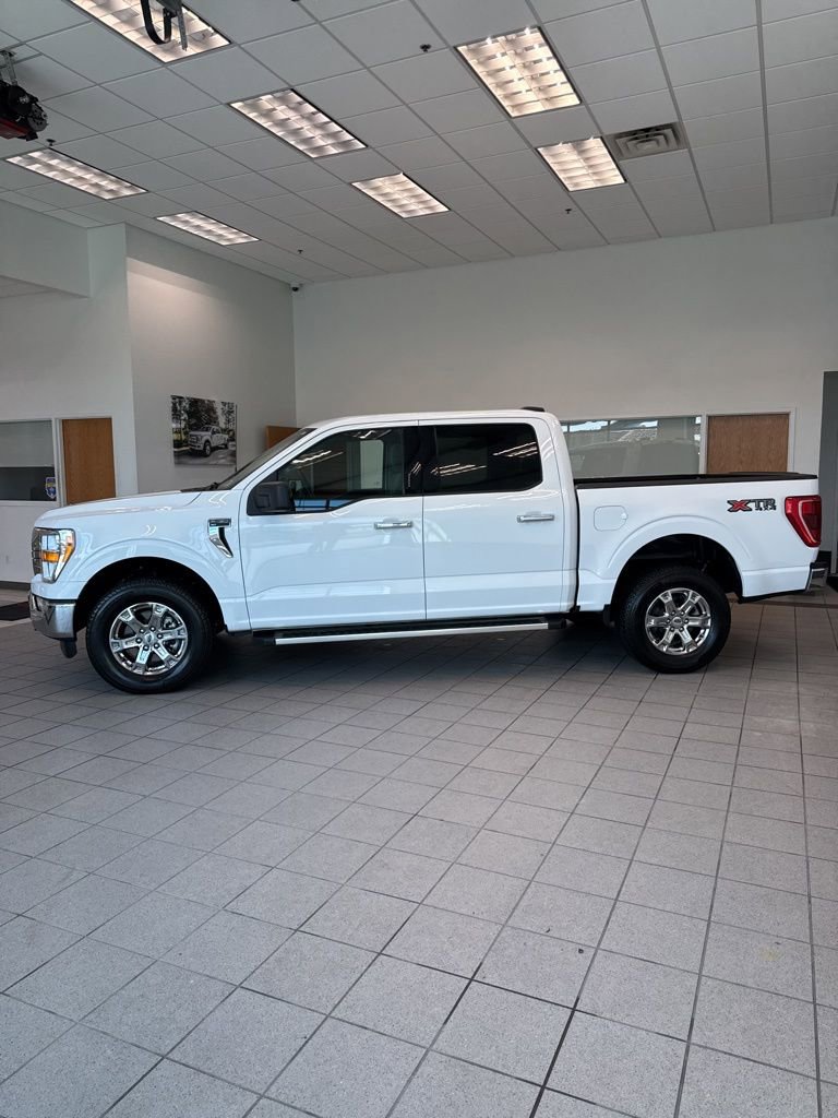 Used 2023 Ford F150 XLT w/ Equipment Group 301A Mid image 6