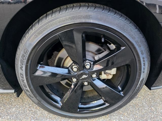 Used 2023 Ford Mustang GT w/ Mustang Nite Pony Package image 10