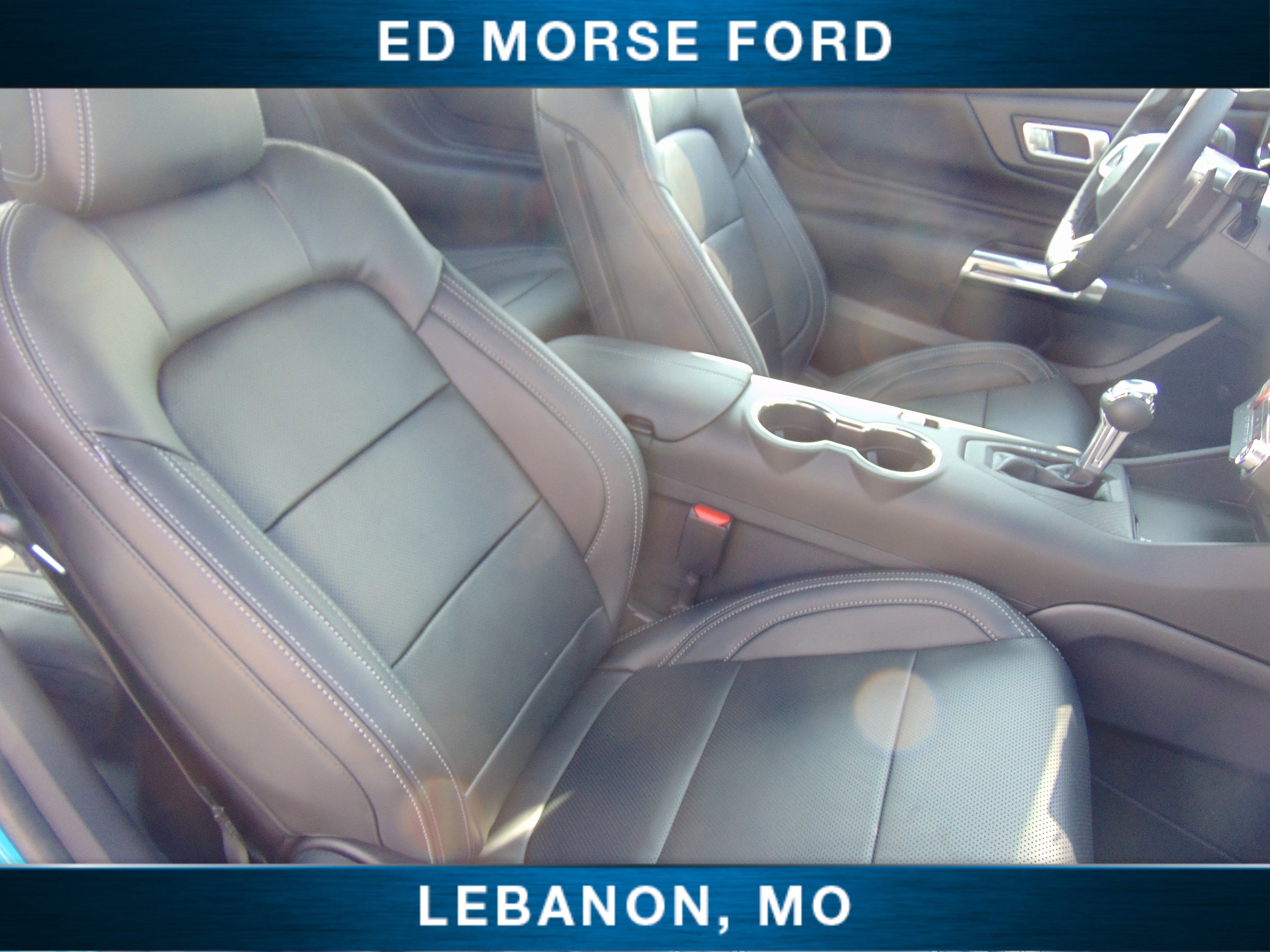 New 2025 Ford Mustang GT Premium w/ Mustang Nite Pony Package image 15