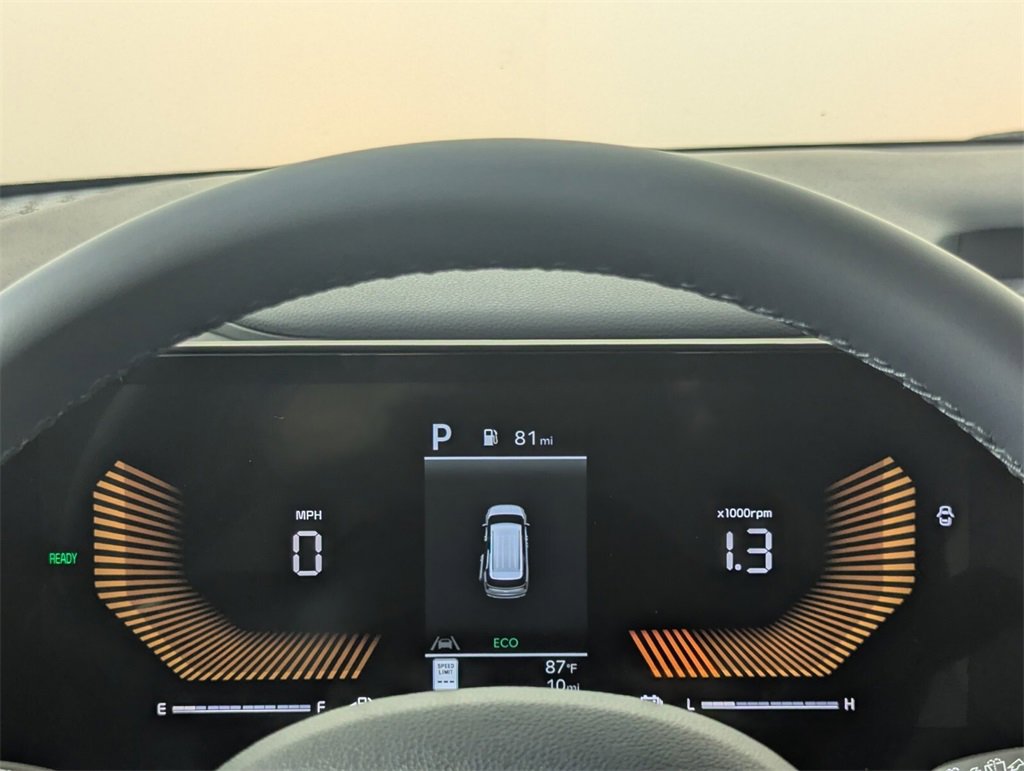 New 2025 Kia Carnival EX image 18