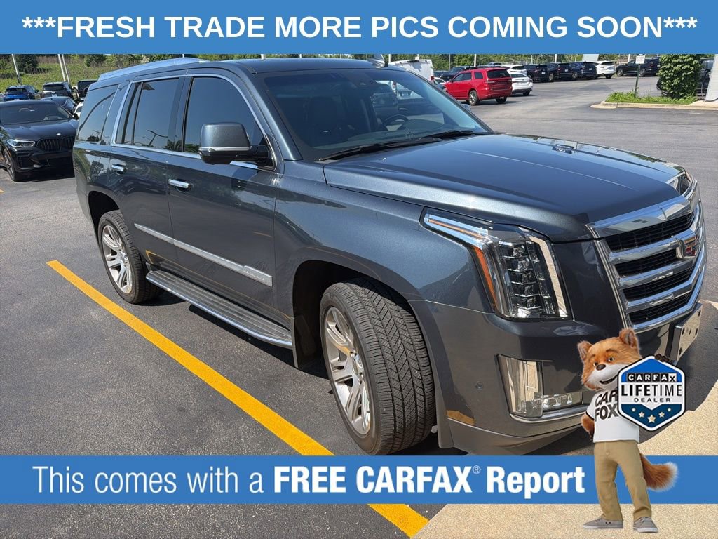 Used 2019 Cadillac Escalade Luxury AWD/4WD image 3