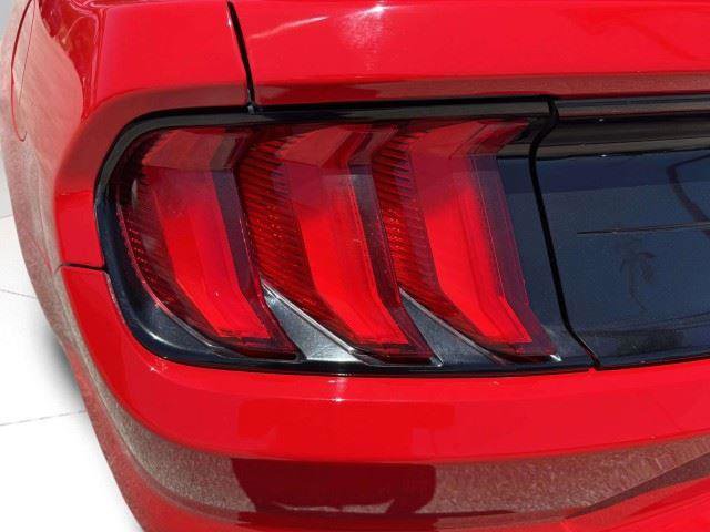 Used 2019 Ford Mustang Coupe w/ Equipment Group 101A RWD image 14
