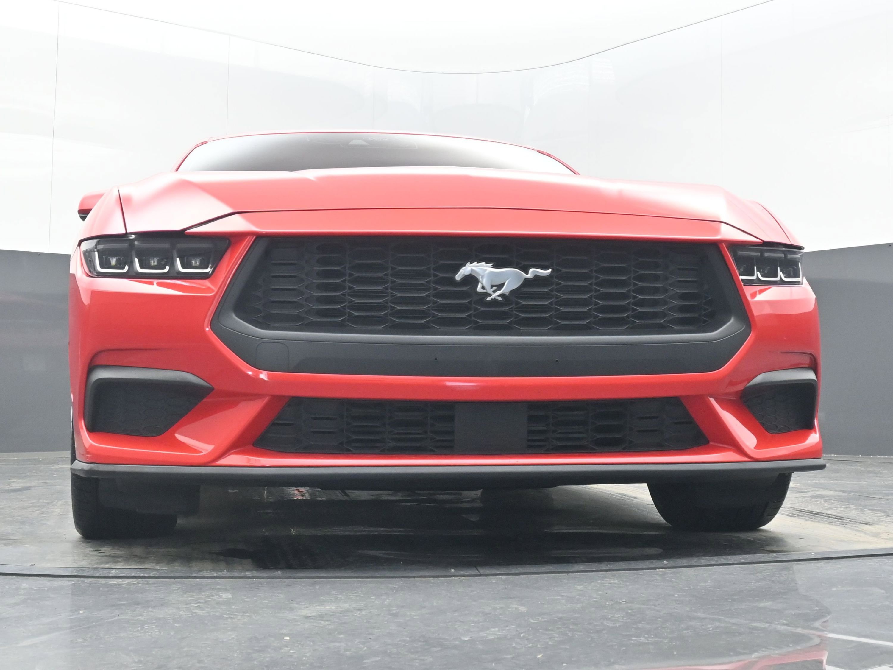 Used 2024 Ford Mustang EcoBoost image 19