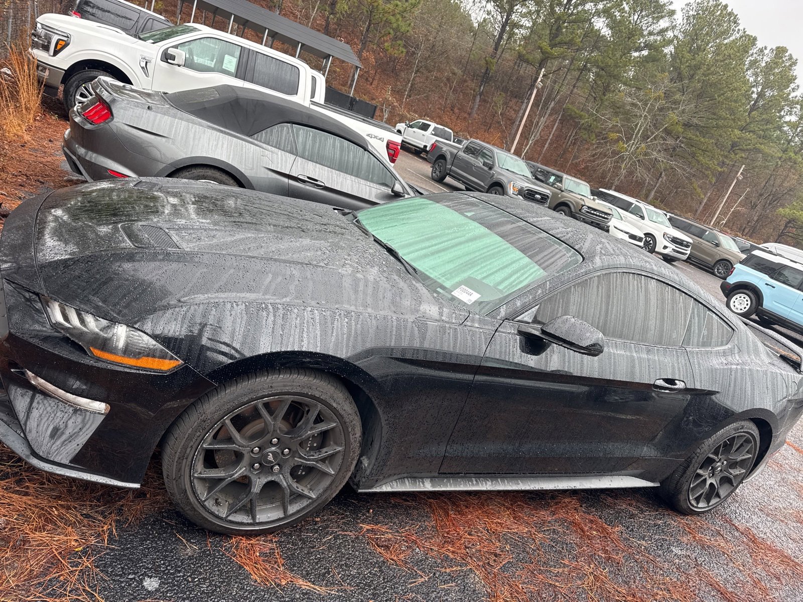 Used 2018 Ford Mustang Premium w/ Ecoboost Performance Package image 4