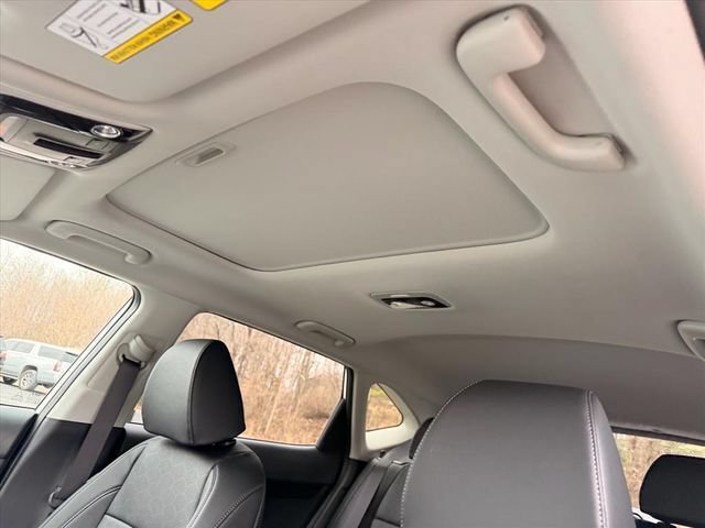 New 2026 Kia Seltos EX w/ EX Sunroof Package AWD/4WD image 12