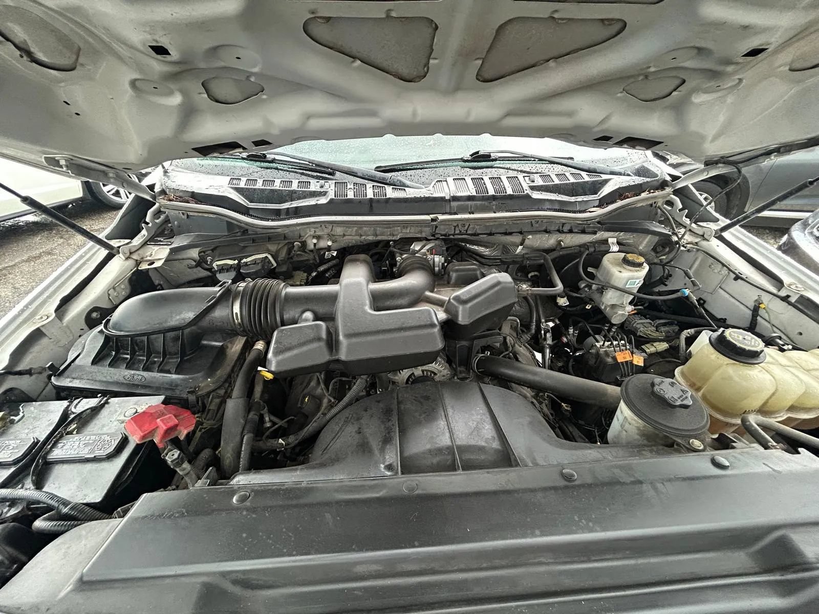 Used 2019 Ford F250 XL w/ Power Equipment Group AWD/4WD image 19