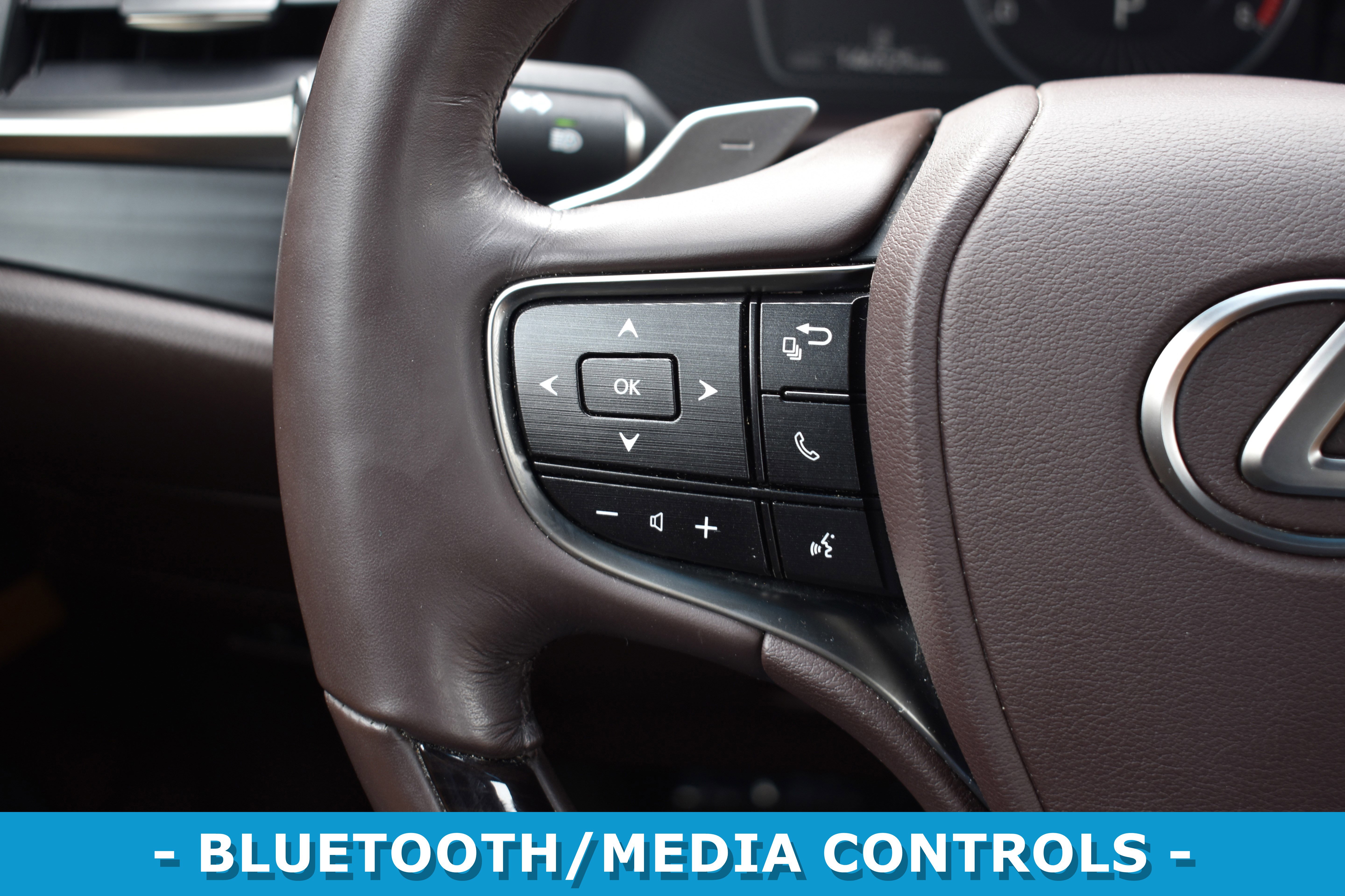 Used 2019 Lexus ES 350 w/ Premium Package image 12