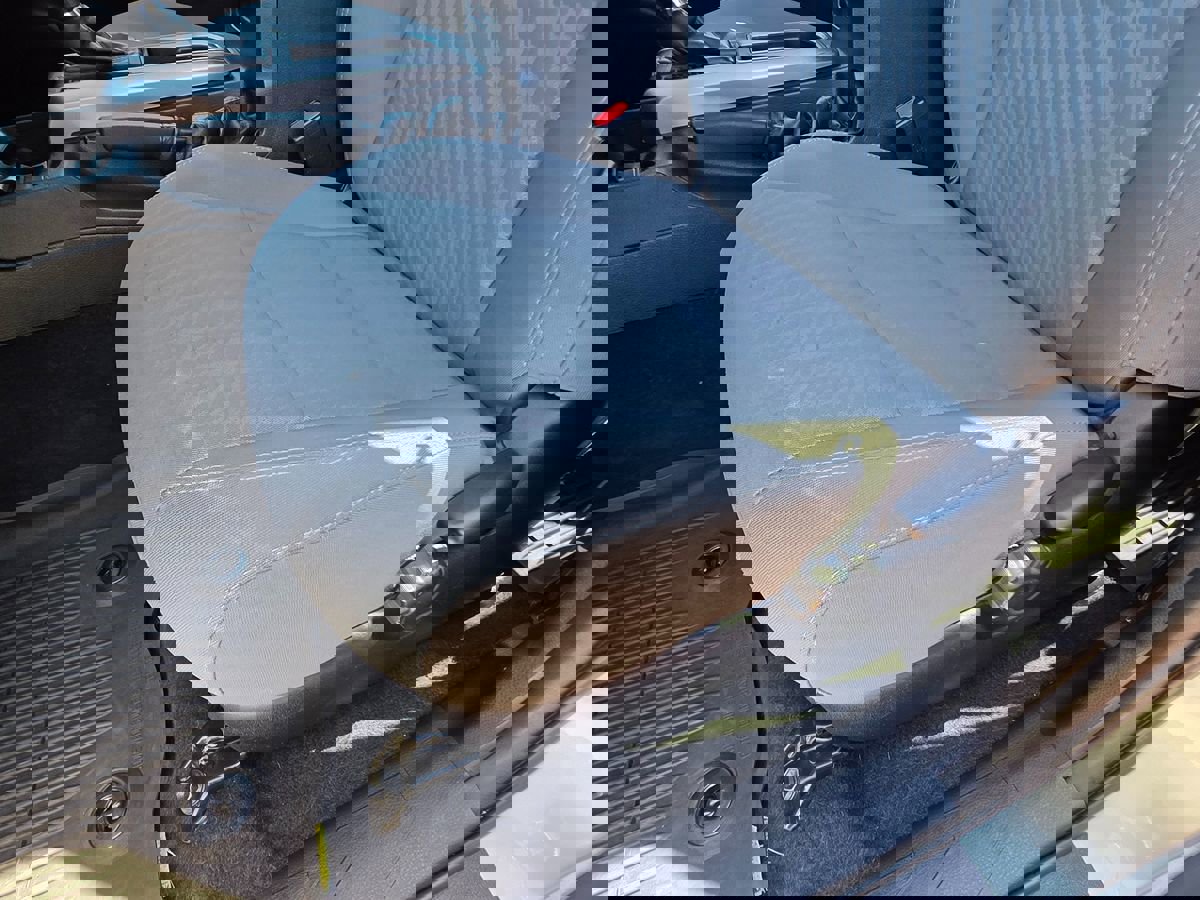 Used 2020 Toyota Tacoma SR5 image 29