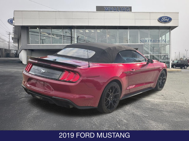 Used 2019 Ford Mustang Premium w/ Ecoboost Performance Package RWD image 8