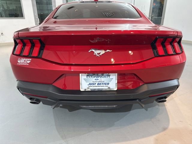 Used 2024 Ford Mustang Premium image 8
