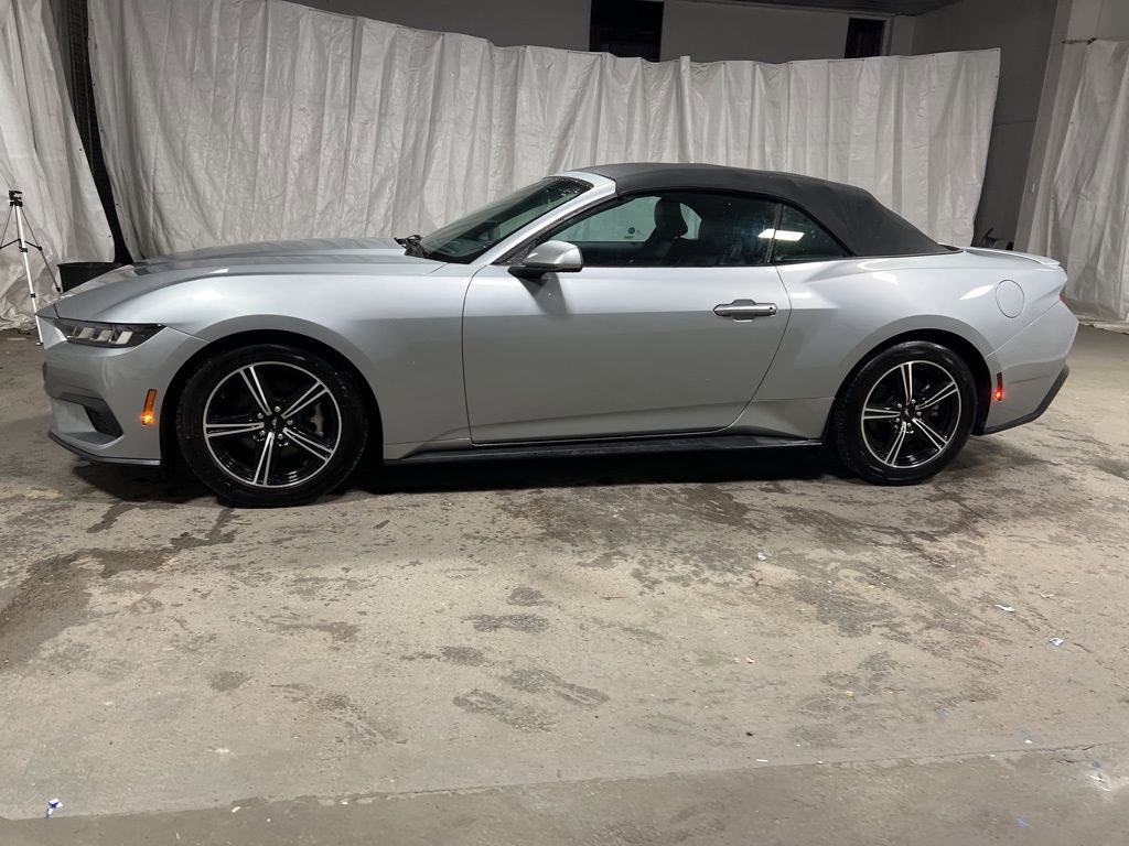 Used 2024 Ford Mustang Premium image 4