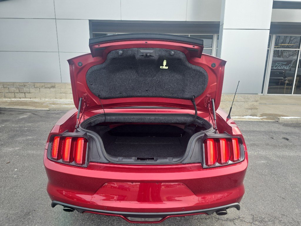 Used 2017 Ford Mustang GT Premium w/ Equipment Group 401A image 14