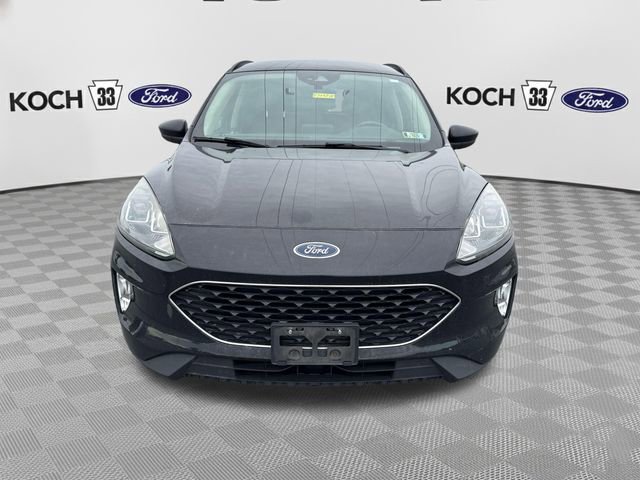 Used 2020 Ford Escape SEL AWD/4WD image 2
