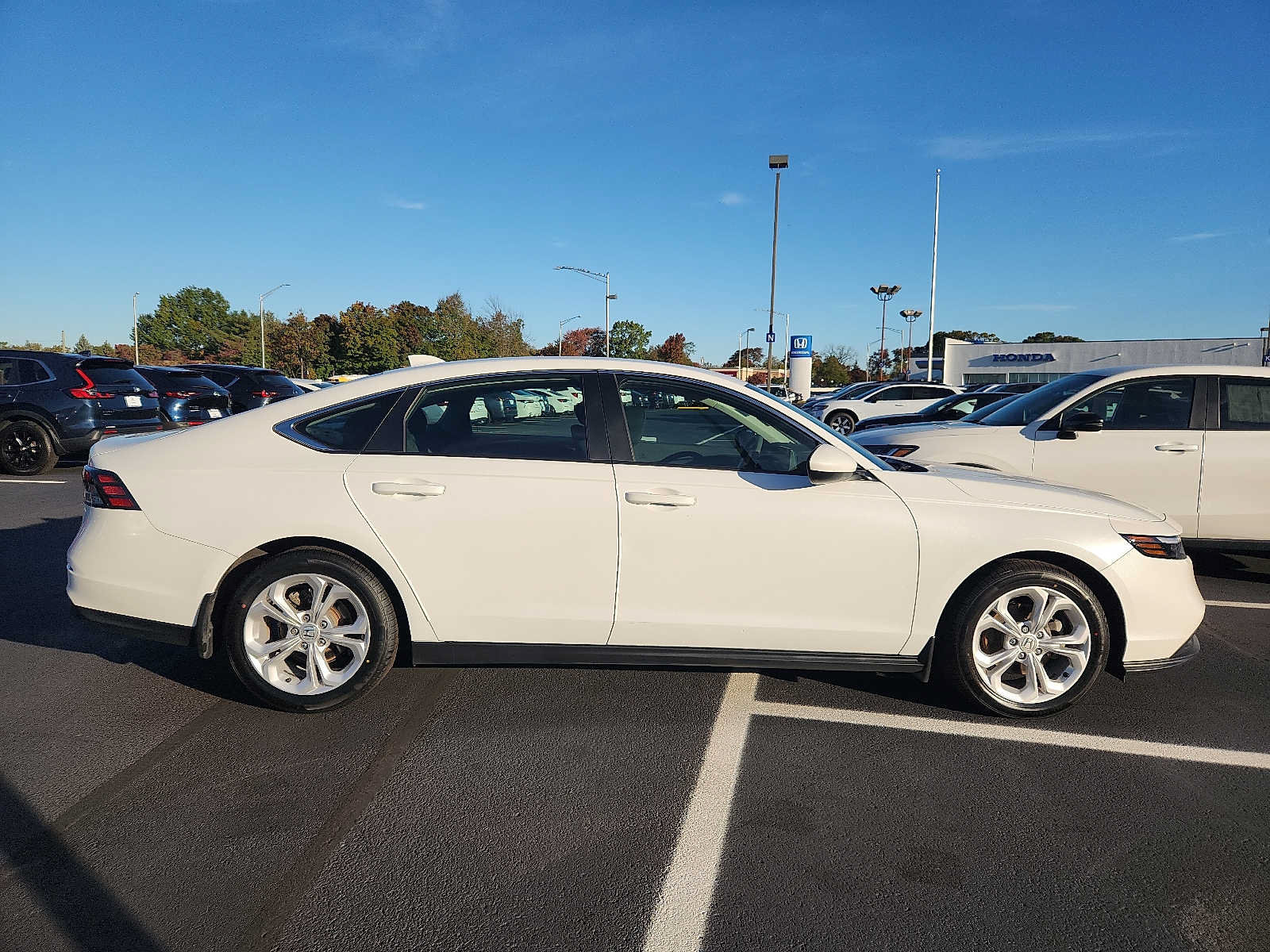 Certified 2024 Honda Accord LX image 6