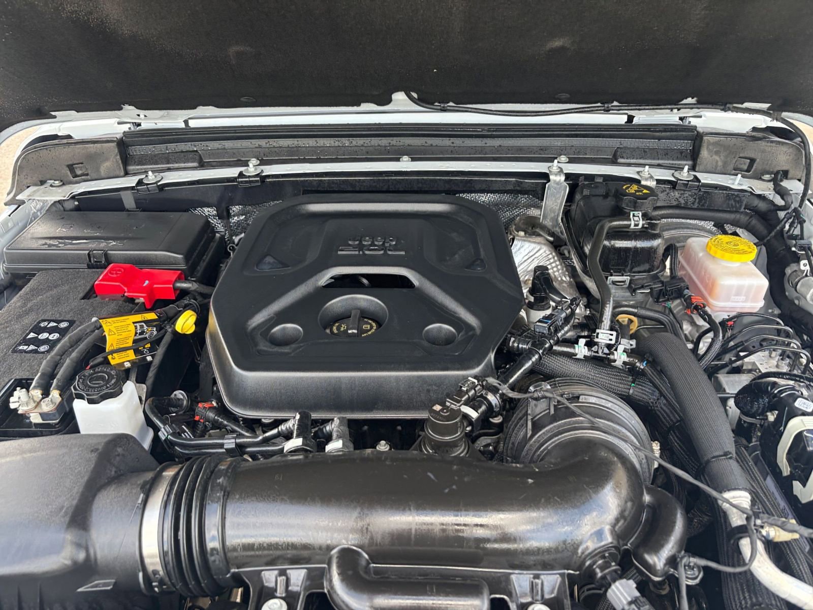 Used 2025 Jeep Wrangler Sahara image 30