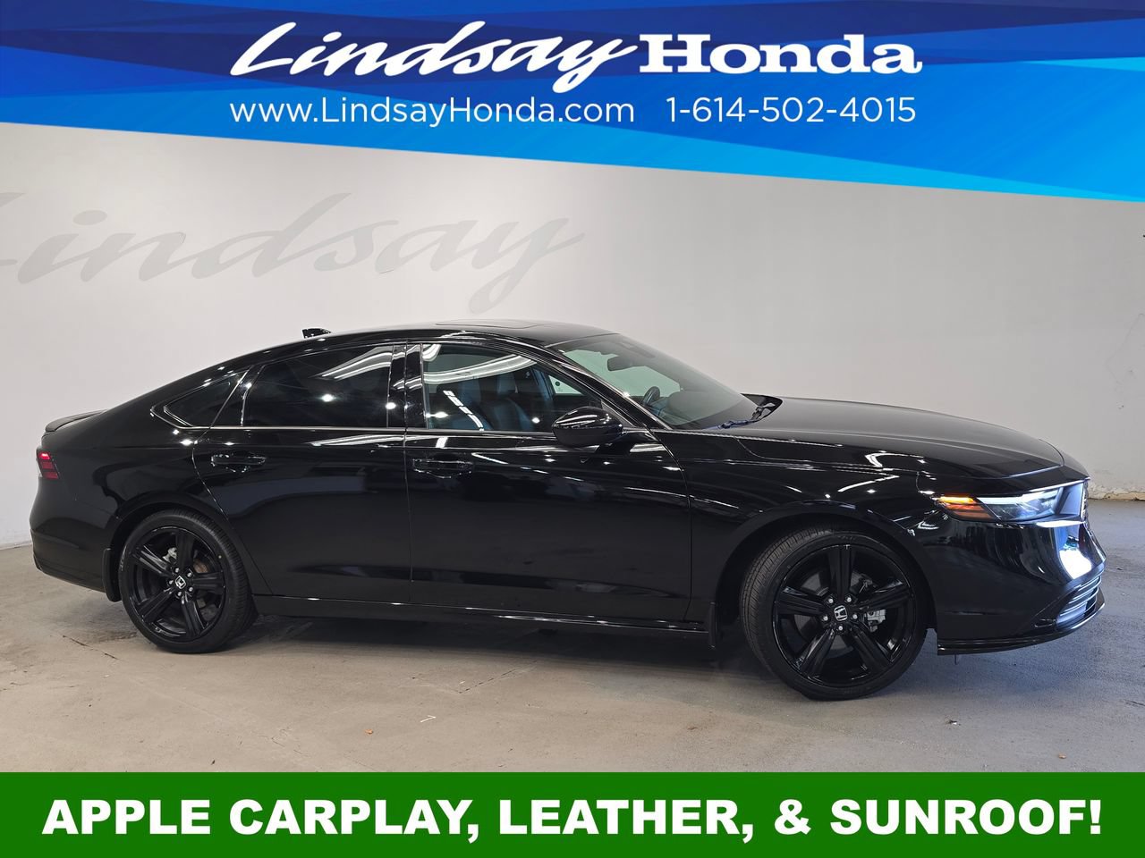 Used 2024 Honda Accord Sport image 3