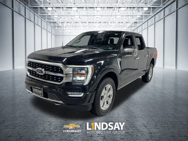 Used 2023 Ford F150 Platinum