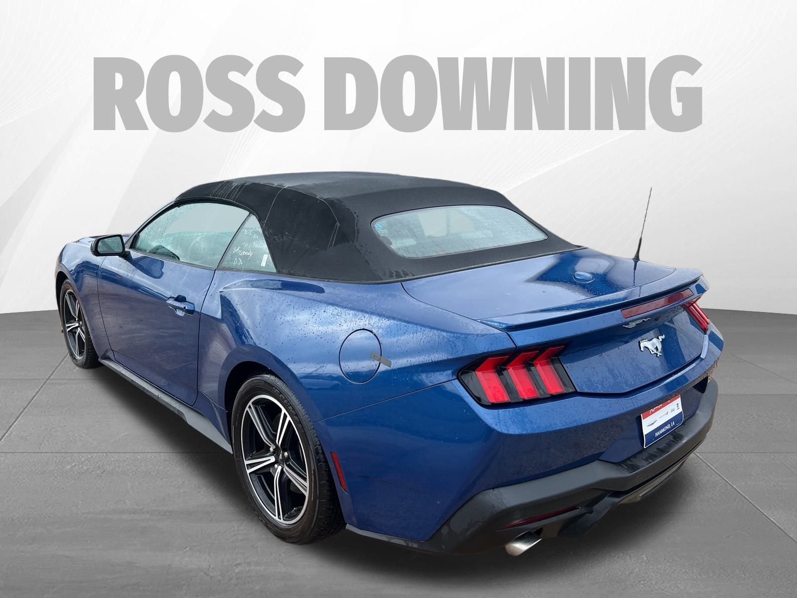 Used 2024 Ford Mustang Premium image 7