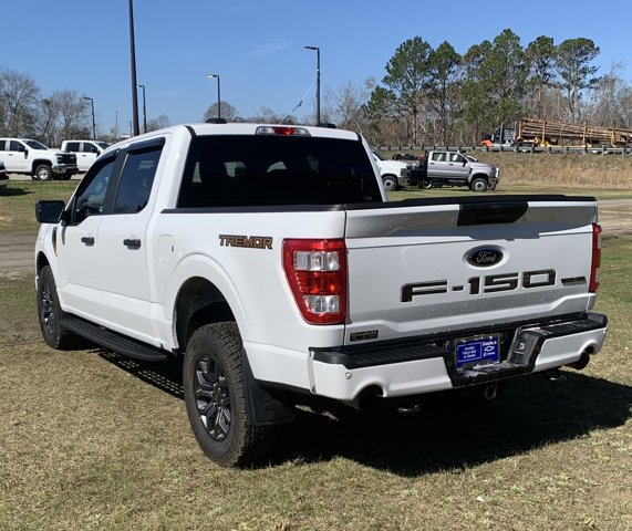 Used 2022 Ford F150 4x4 Tremor image 3