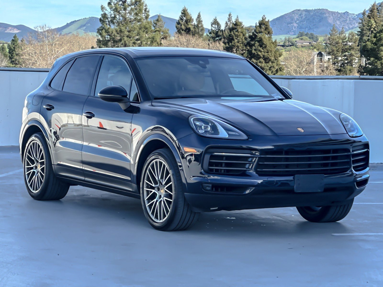 Used 2022 Porsche Cayenne Platinum Edition image 10