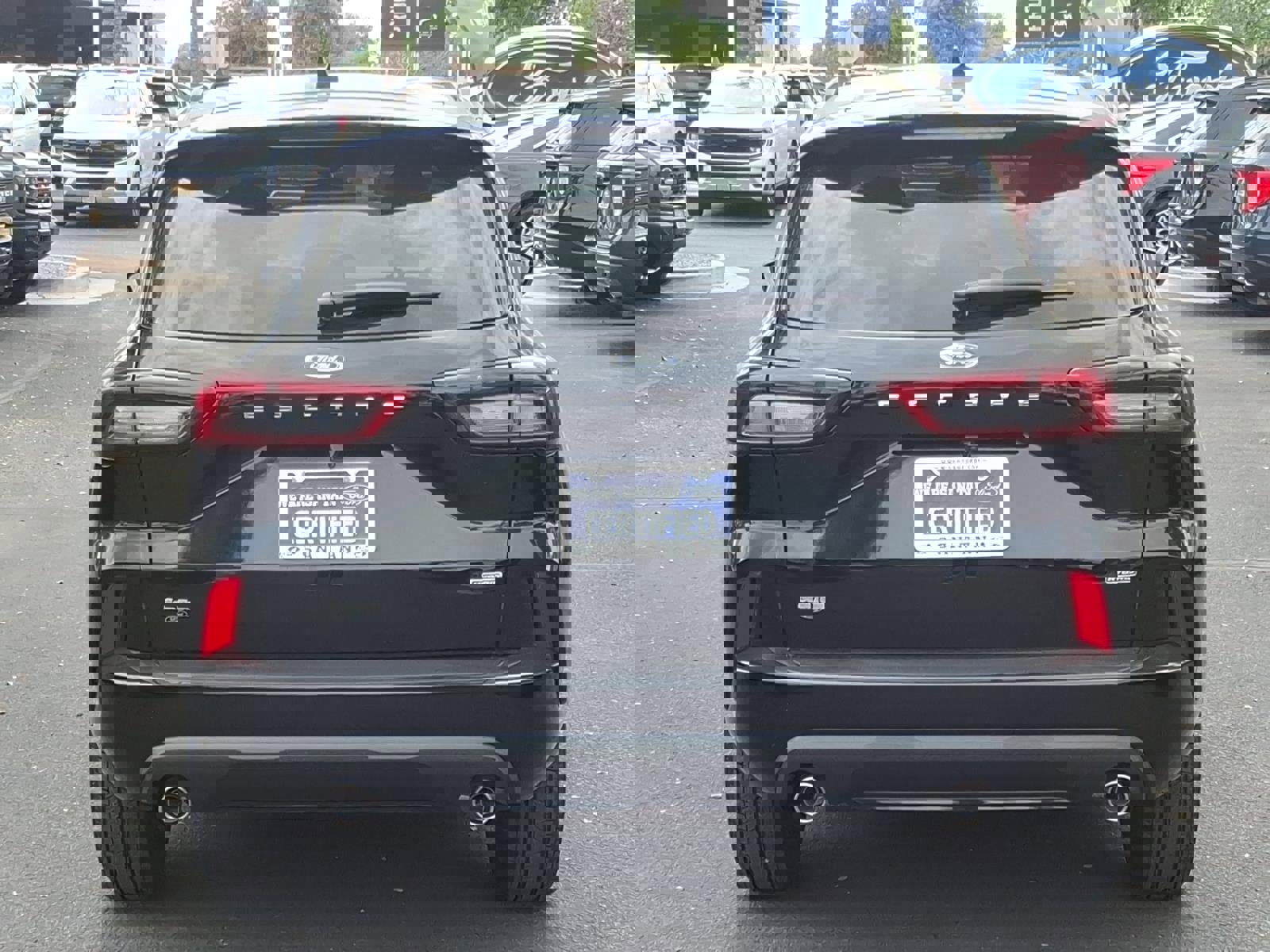 Used 2023 Ford Escape ST-Line w/ Equipment Group 301A image 5