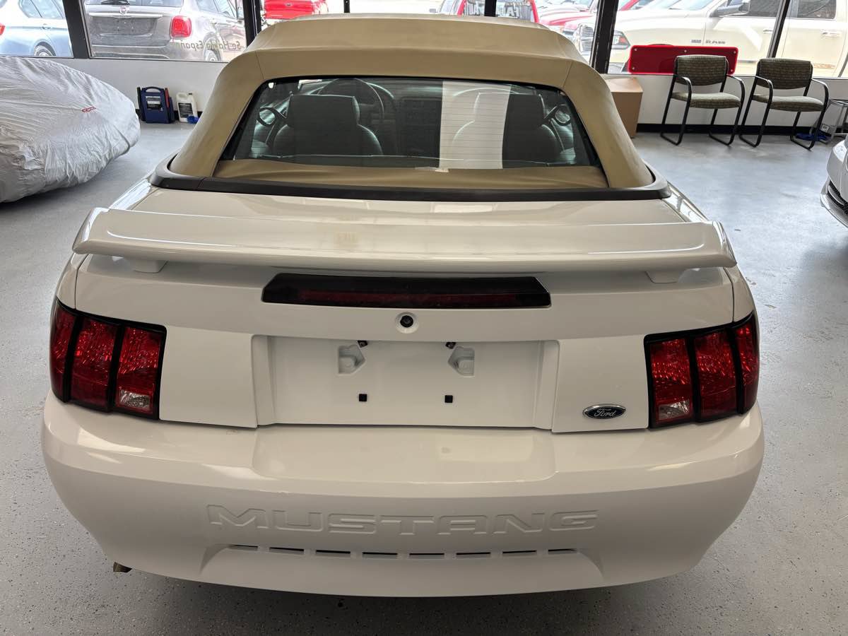 Used 2003 Ford Mustang Convertible RWD image 5