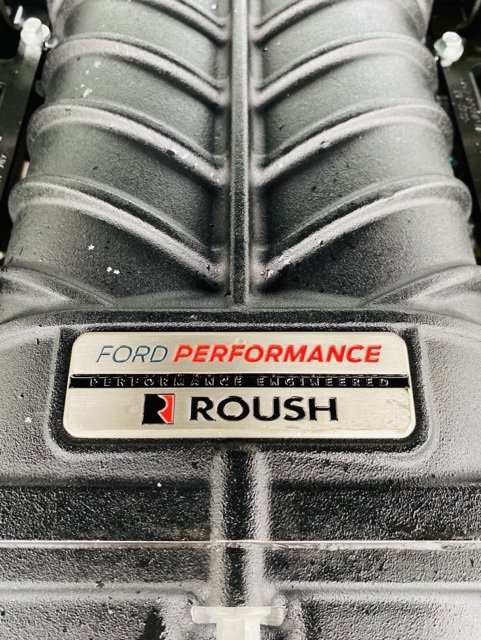 Used 2021 Ford Mustang GT w/ Equipment Group 301A image 12