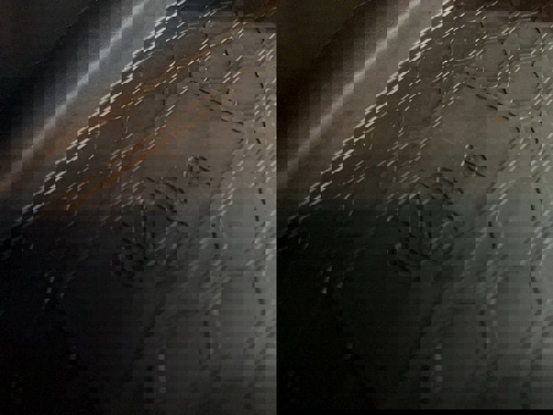 Used 2024 Nissan Altima 2.5 SR w/ SR Premium Package image 8