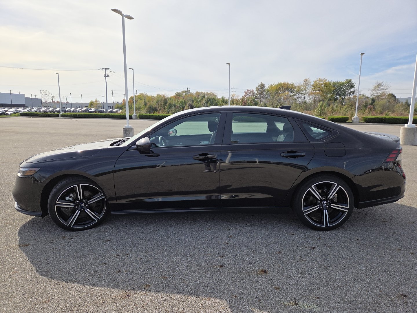 Used 2024 Honda Accord Sport image 14