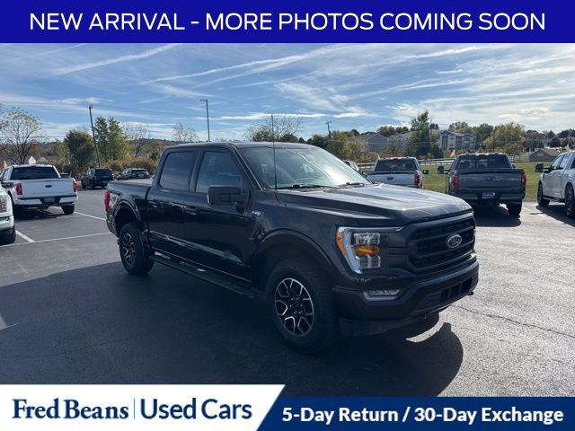 Certified 2023 Ford F150 XLT w/ Equipment Group 302A High