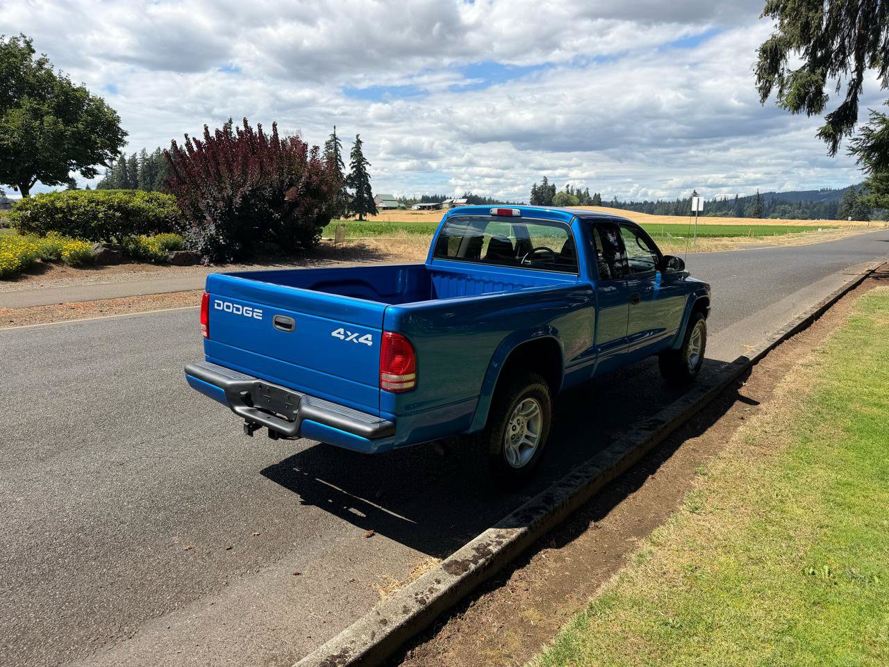 Used 2001 Dodge Dakota 4x4 Club Cab image 5